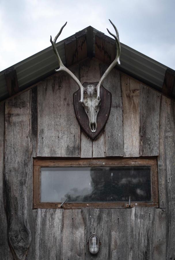 Отель Glamping Fluffy Horns - Glempings Pukainie Ragi Плиеньциемс Экстерьер фото