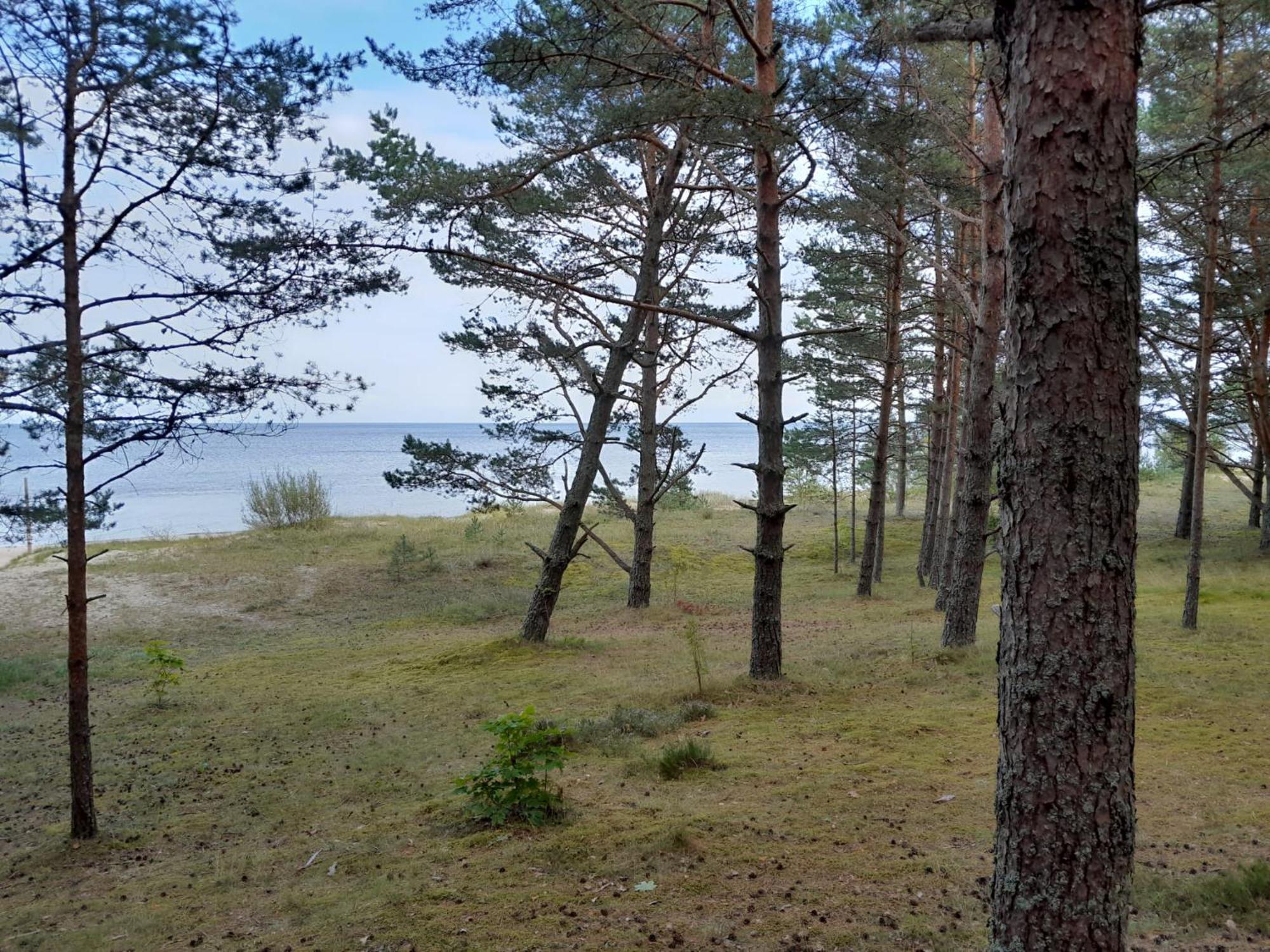 Отель Glamping Fluffy Horns - Glempings Pukainie Ragi Плиеньциемс Экстерьер фото